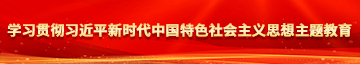 黄色金库骚逼httpscom学习贯彻习近平新时代中国特色社会主义思想主题教育